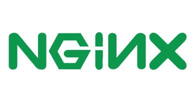 How To Install Nginx Web Server on Ubuntu 18.04 Nginx Logo
