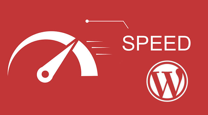 Wordpress Speed Optimization